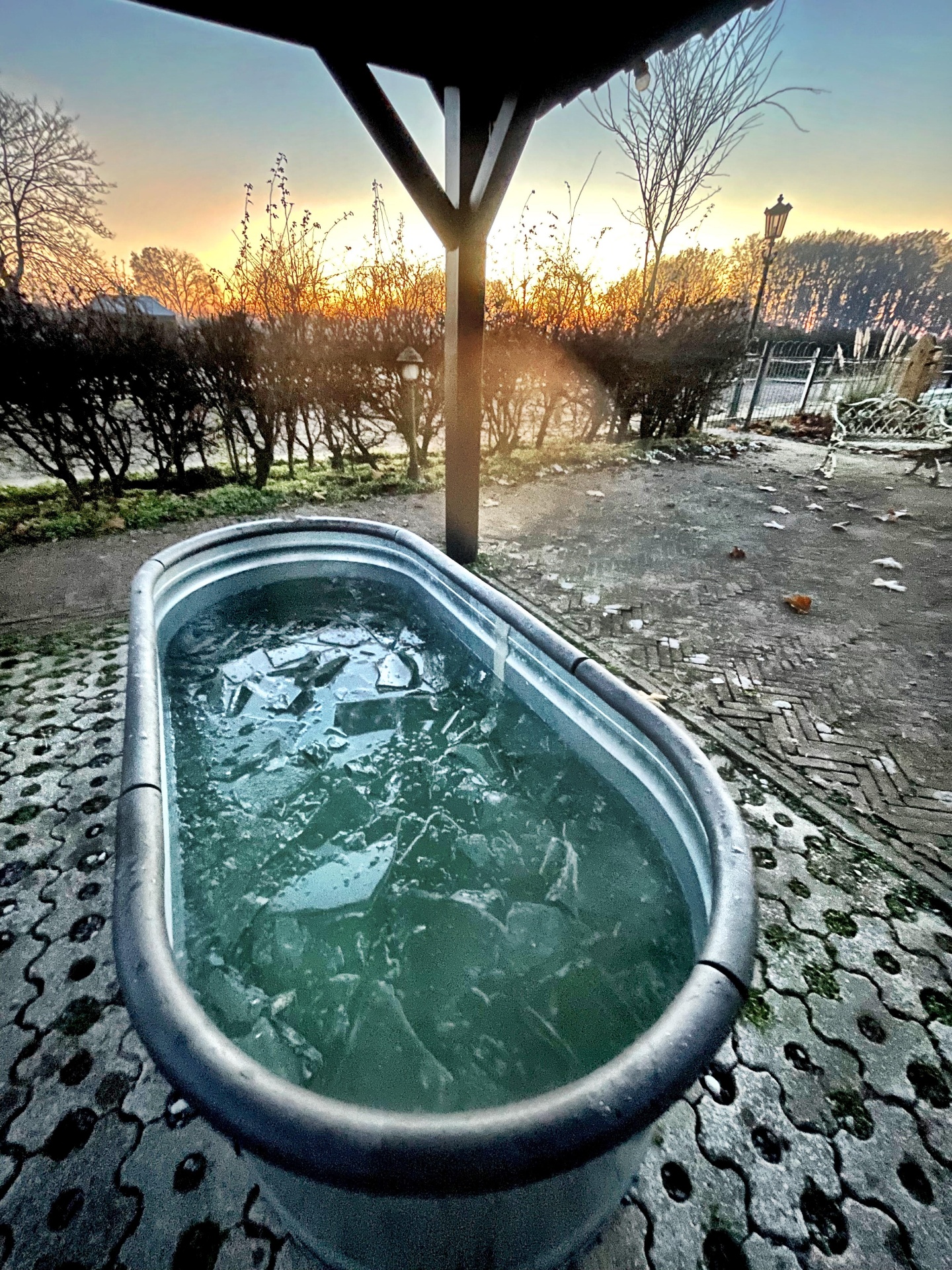 IJsbaden met Mike